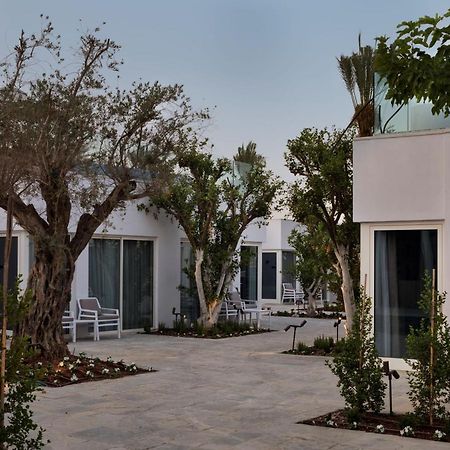 Herbert Samuel Milos Dead Sea Ejn Bokek Exteriér fotografie